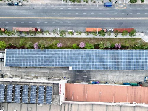 惠州这家工厂启用光伏发电,相当于种植了11万棵树